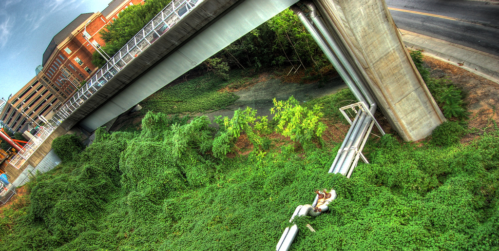 Photo by Taber Andrew Bain on Flickr (CC) Kudzu Under the Leigh Street Viaduct  VCU MCV Campus; Richmond VA