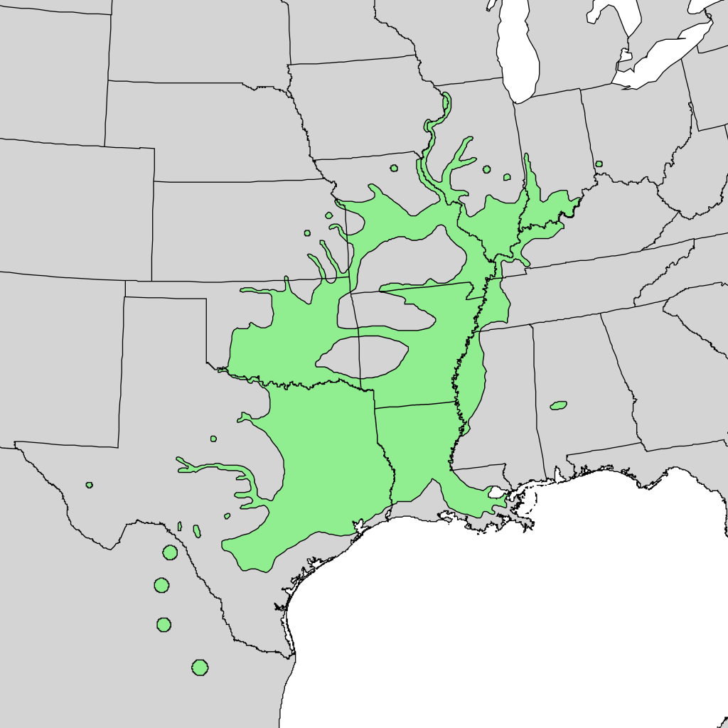 Native range of the pecan tree